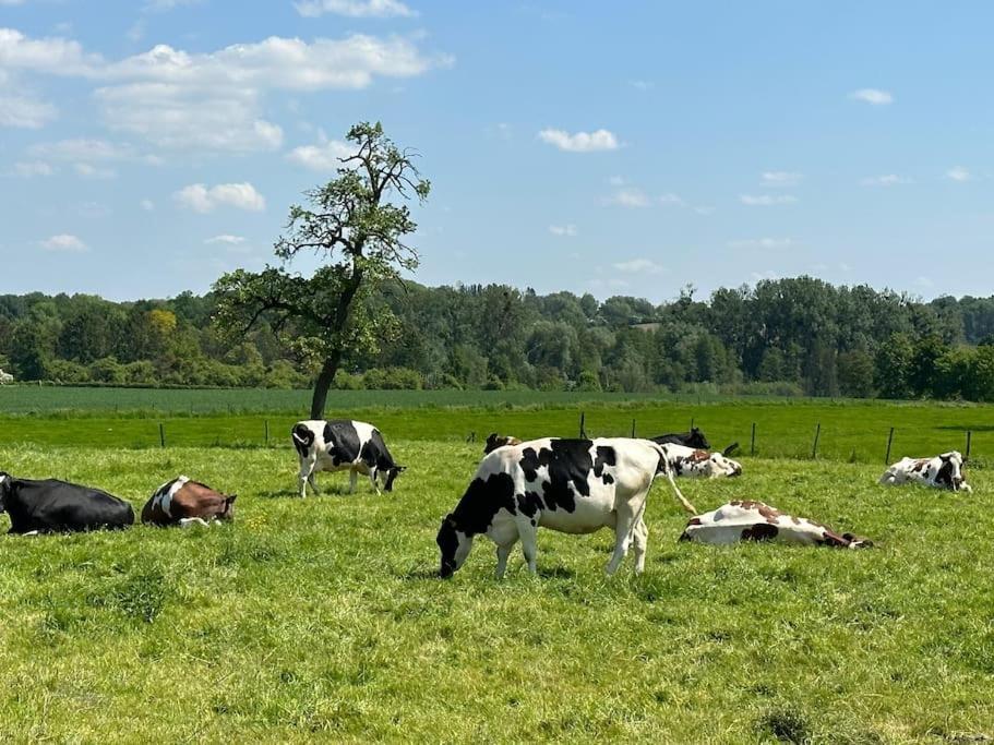 Vakantiewoning Hoogveld Kortessem Ngoại thất bức ảnh